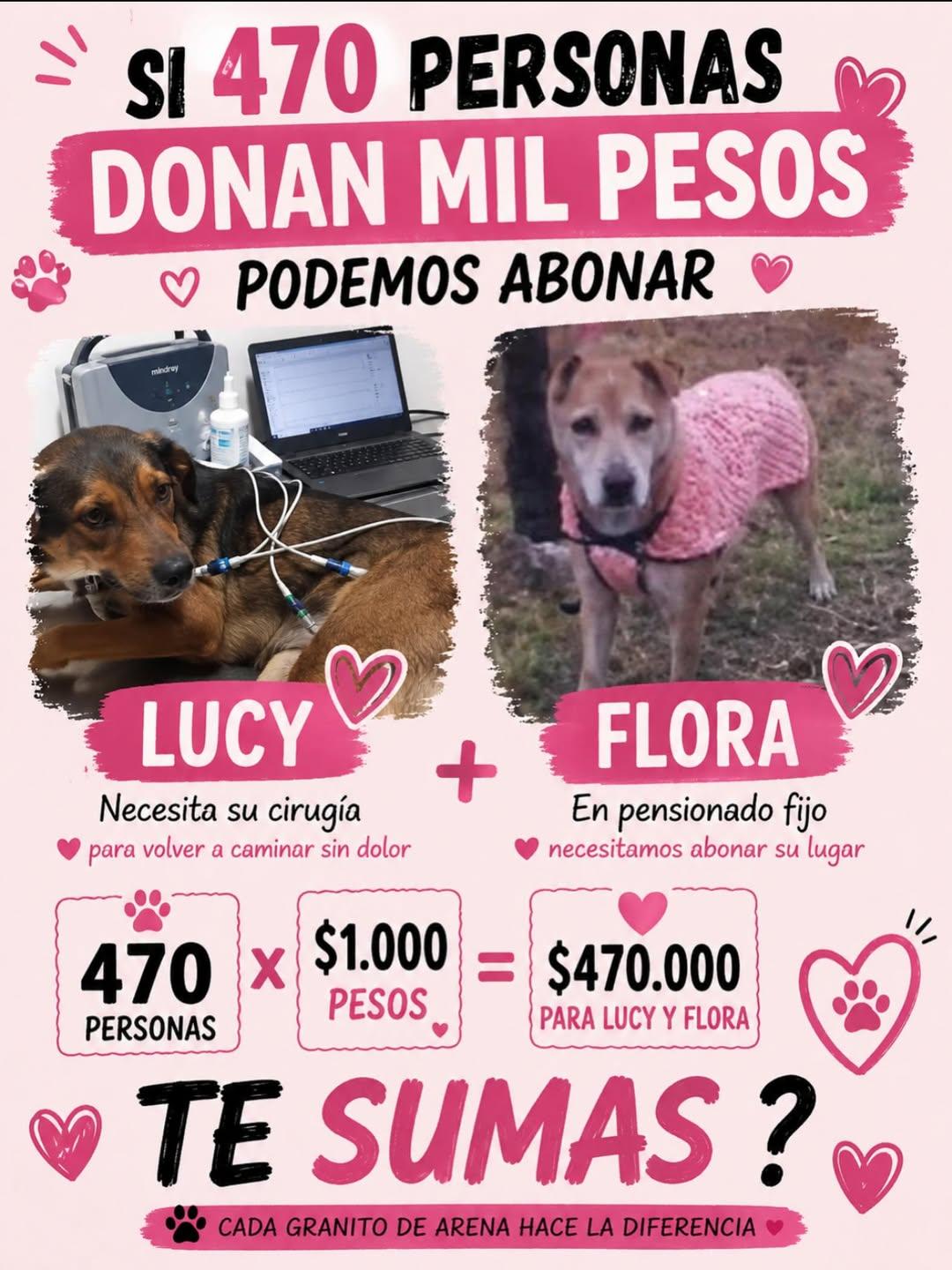 Lucy, Flora (2/14)