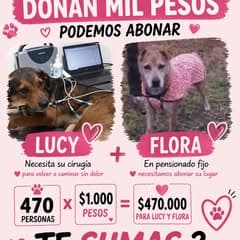Lucy, Flora (13/14)