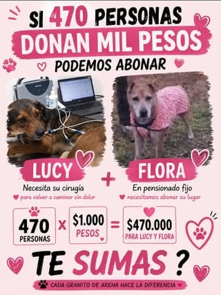 Lucy, Flora (6/14)
