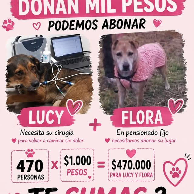 Lucy, Flora (10/14)