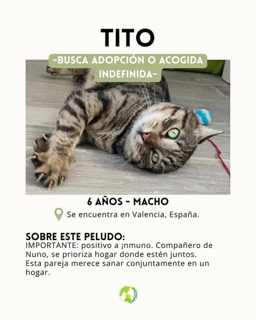Tito (2/6)