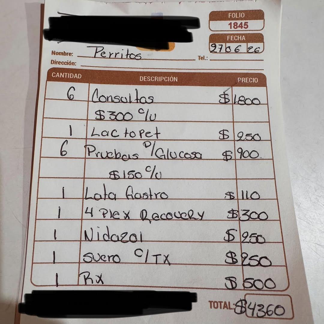 Messi, Marta, Zlatan +3 (9/13)