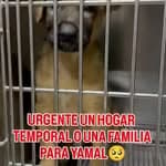 Yamal (11/11)