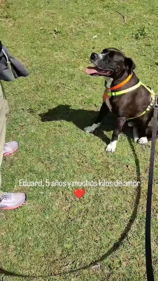 Eduard (1/11)
