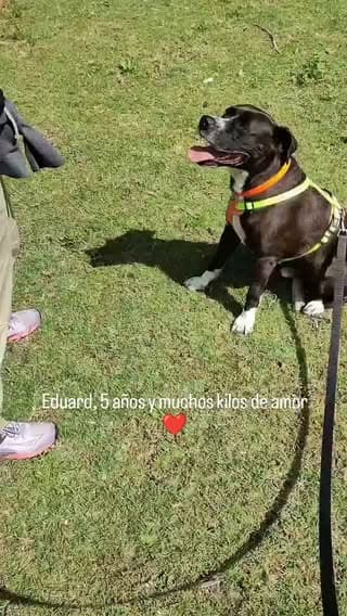 Eduard (3/11)