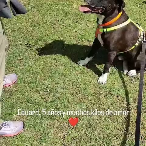 Eduard (8/11)