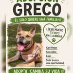 Greco (14/14)