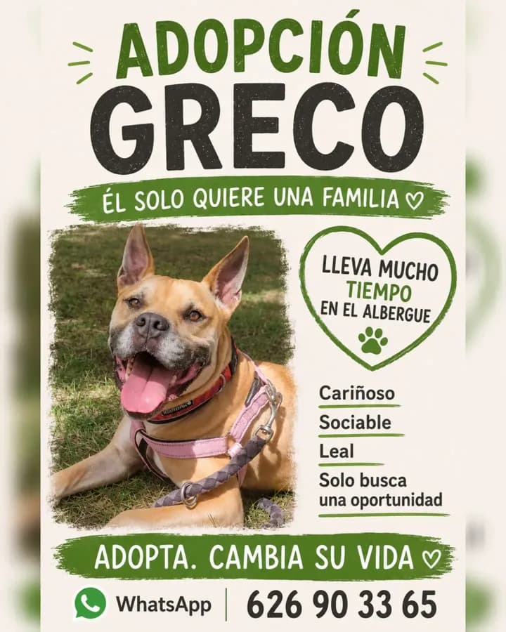 Greco (3/14)