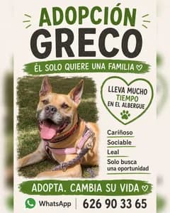 Greco (7/14)