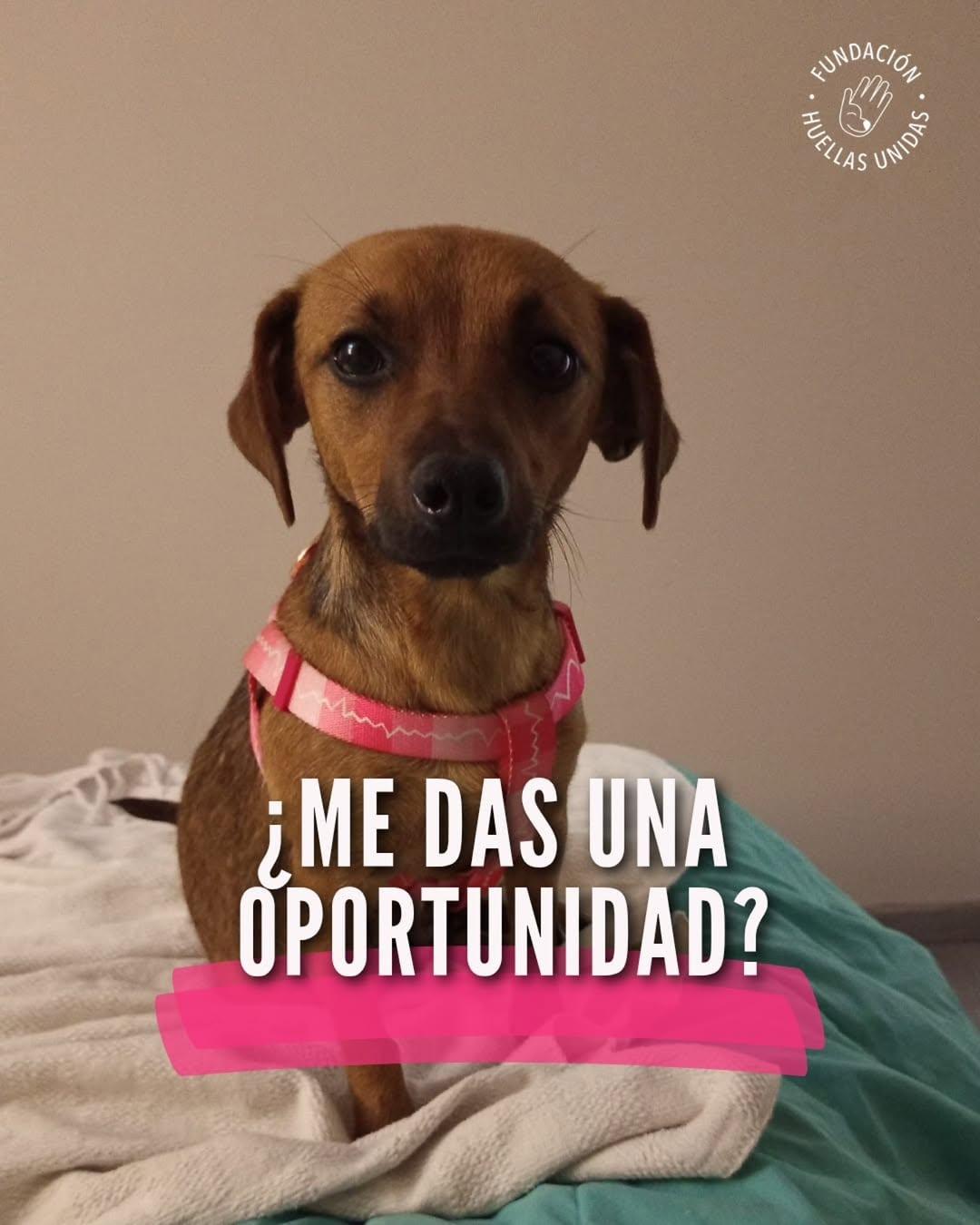Sin nombre (1/5)