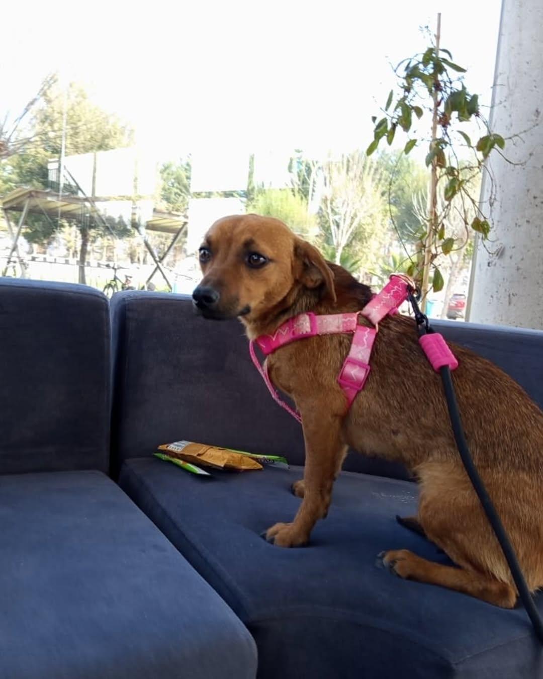 Sin nombre (3/5)