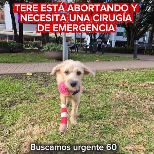 Tere (9/13)
