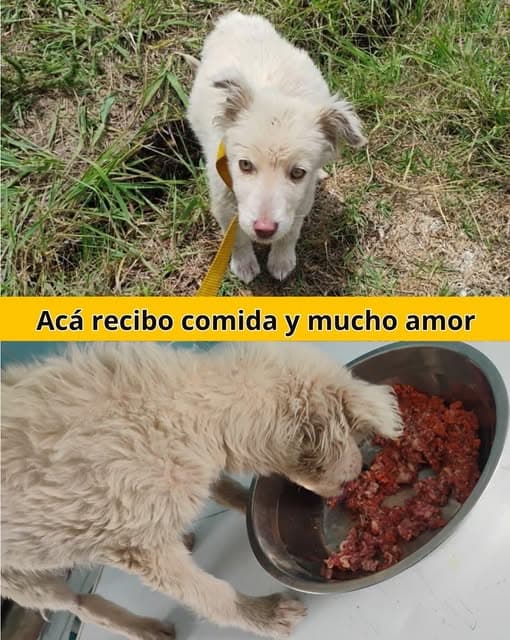 Nieve (4/10)