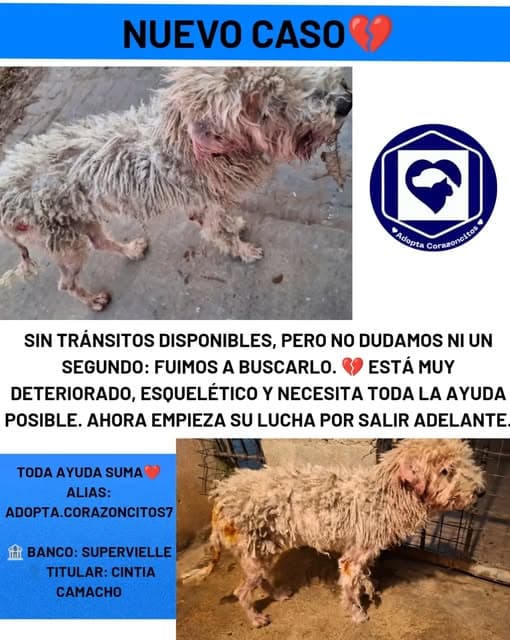 Sin nombre (2/2)