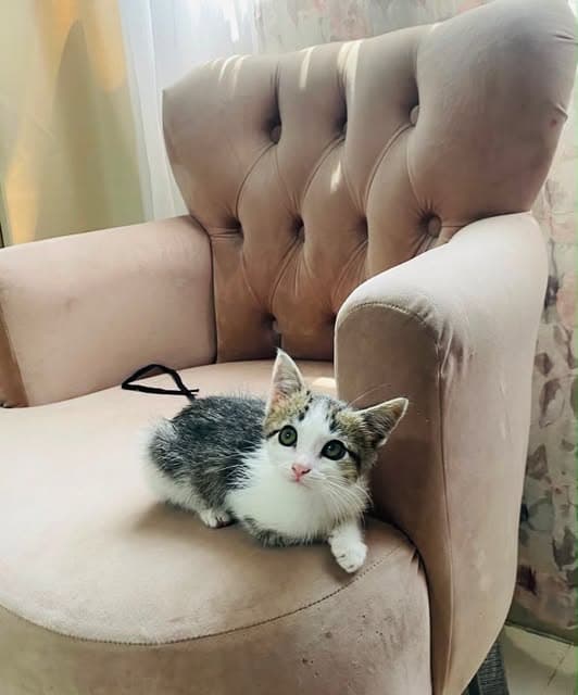 Olivia (2/5)