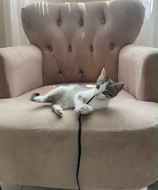 Olivia (4/5)
