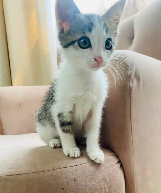 Olivia (5/5)