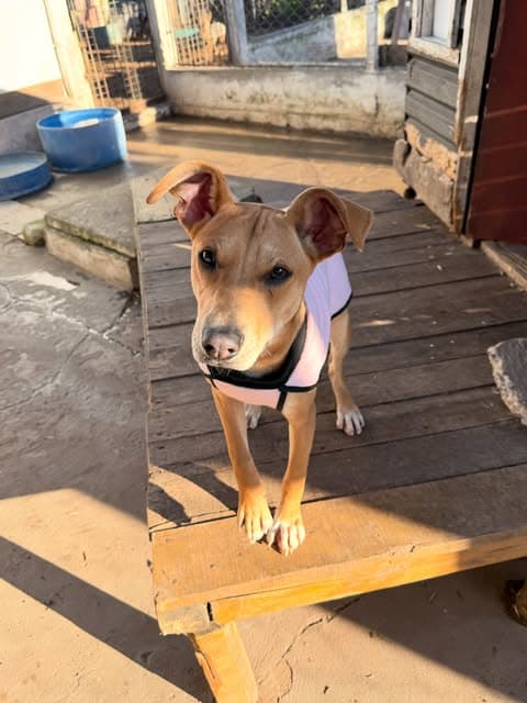 Eimy, Coco, Bruno +1 (3/13)