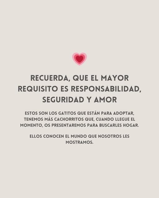 Sin nombre (5/5)