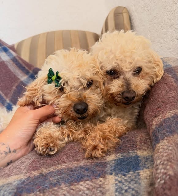 Amy, Abby (2/5)