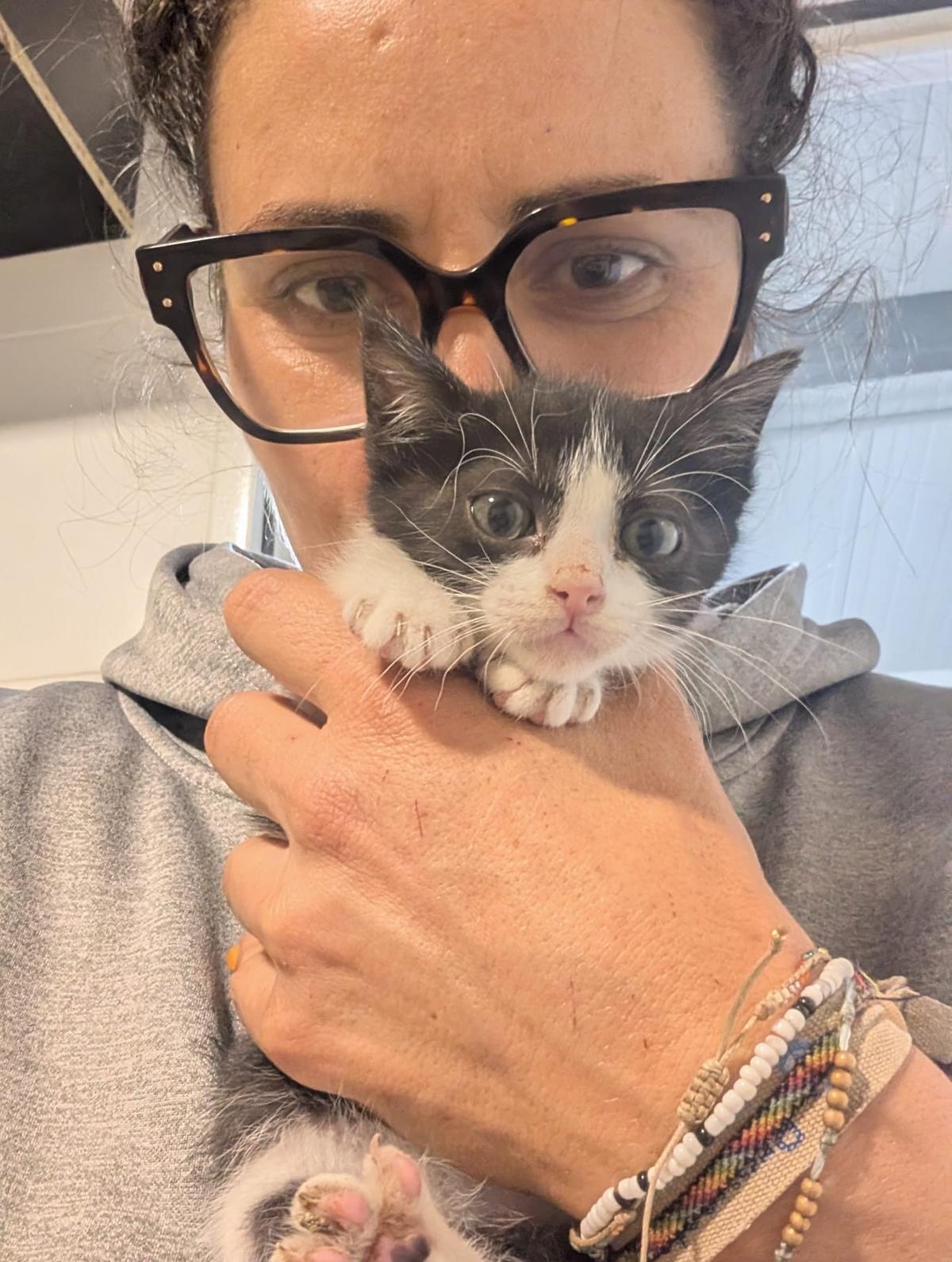 2 animalitos (4/14)