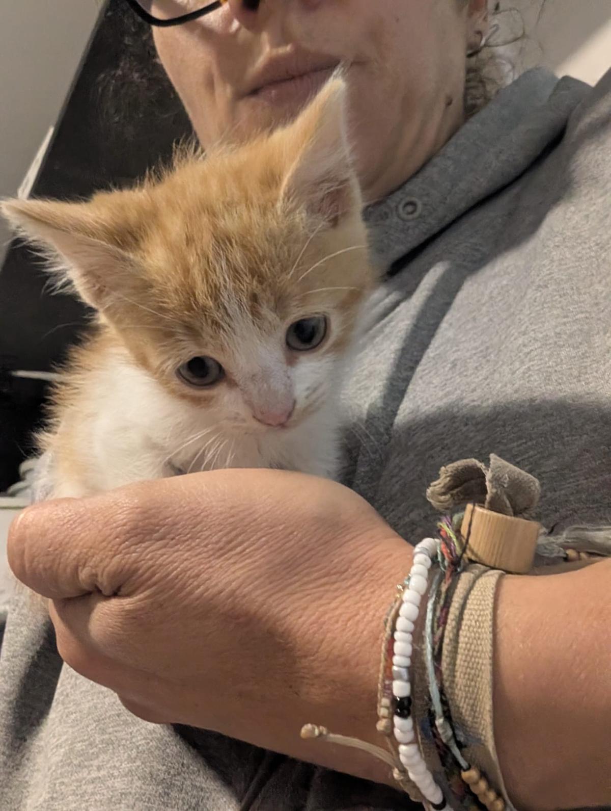 2 animalitos (5/14)