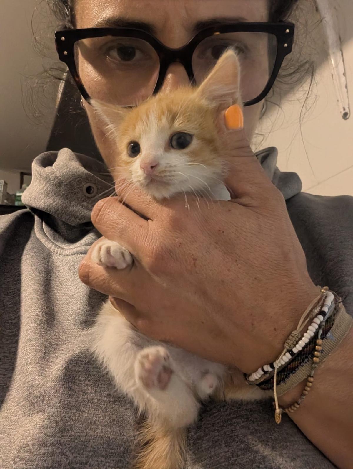 2 animalitos (8/14)