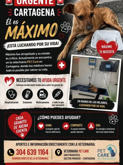 Máximo