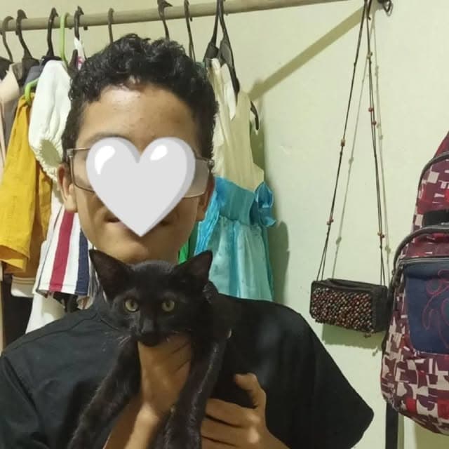6 animalitos (1/3)