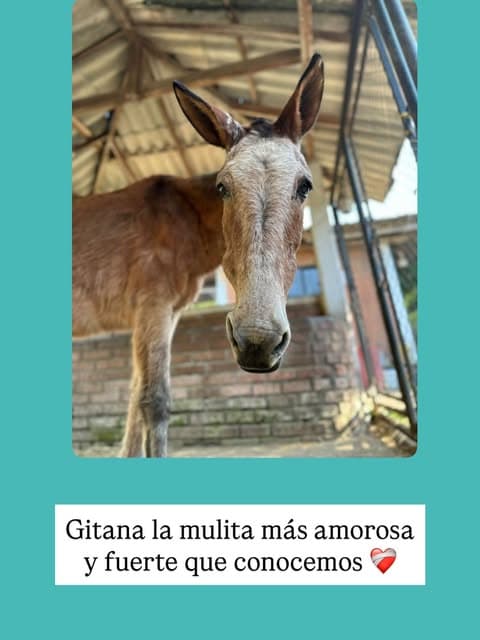 Sin nombre (3/6)