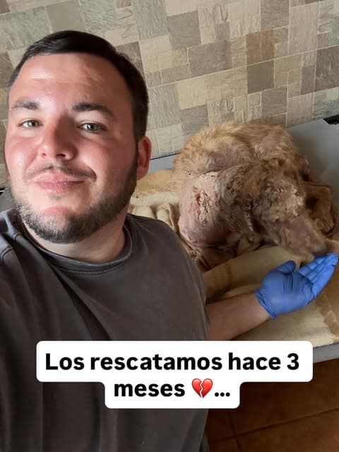 Lucas, Lola (5/10)
