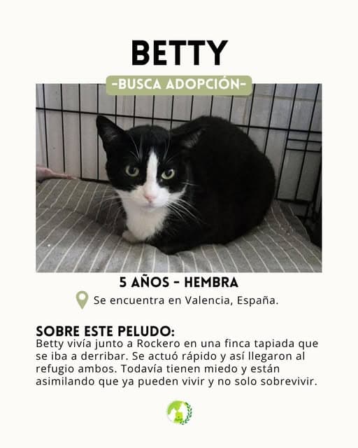Betty, Rokero (2/7)