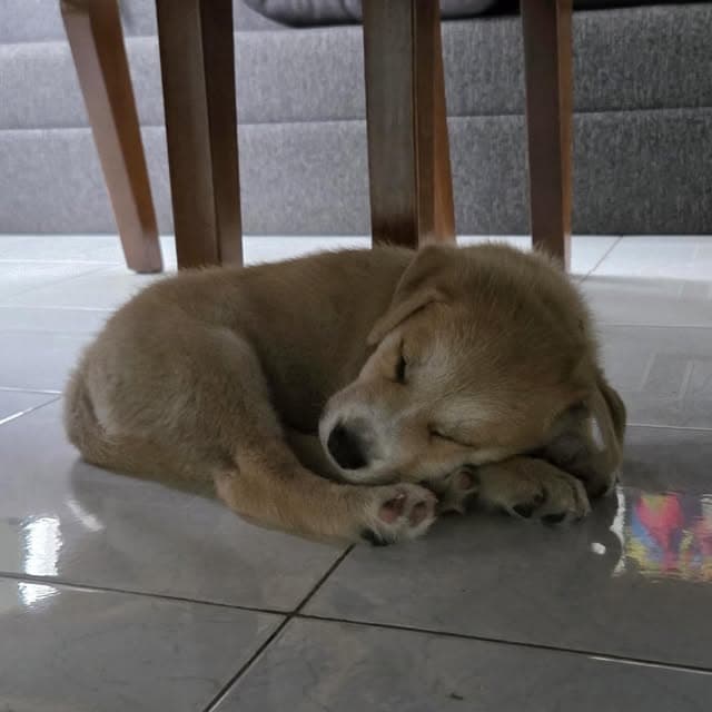 Teddy (15/20)