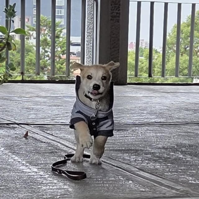 Teddy (16/20)