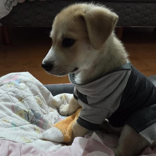 Teddy (18/20)