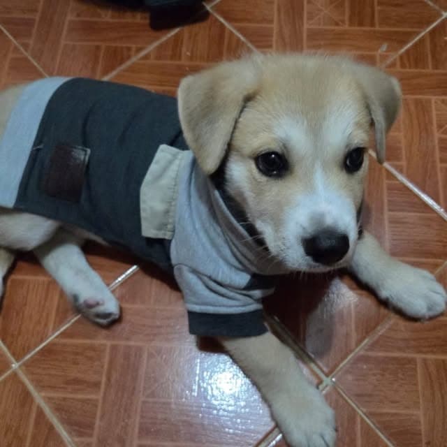 Teddy (19/20)