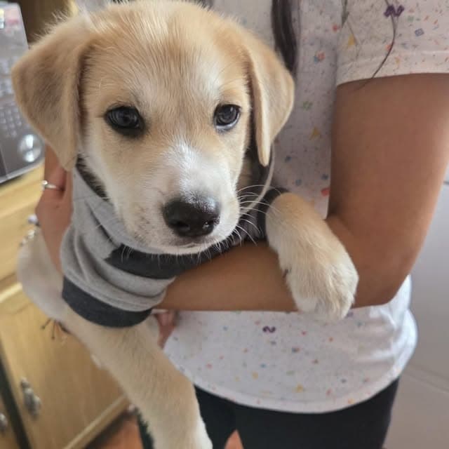 Teddy (4/20)