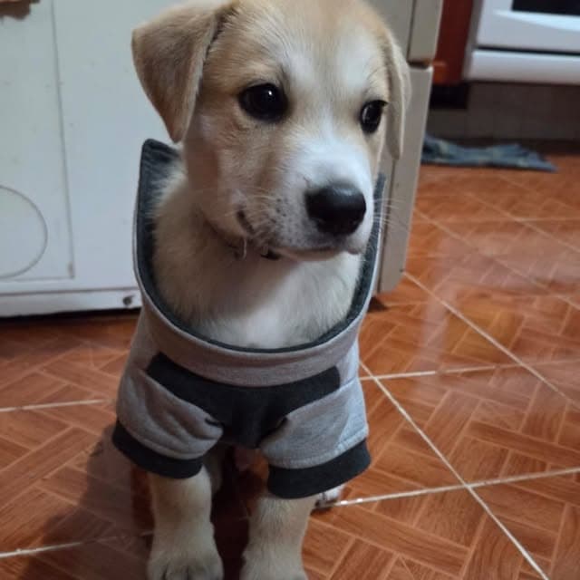 Teddy (5/20)