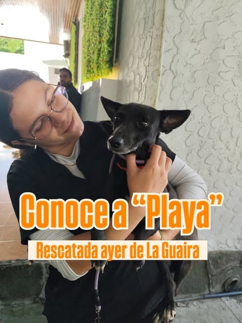 Playa (1/6)