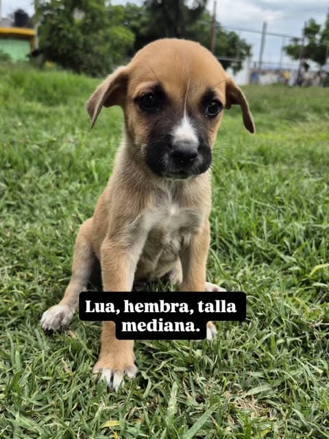 Lola (6/6)