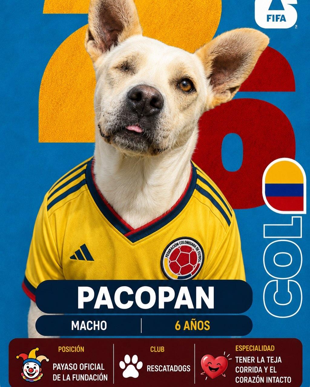 PacoPan (7/7)
