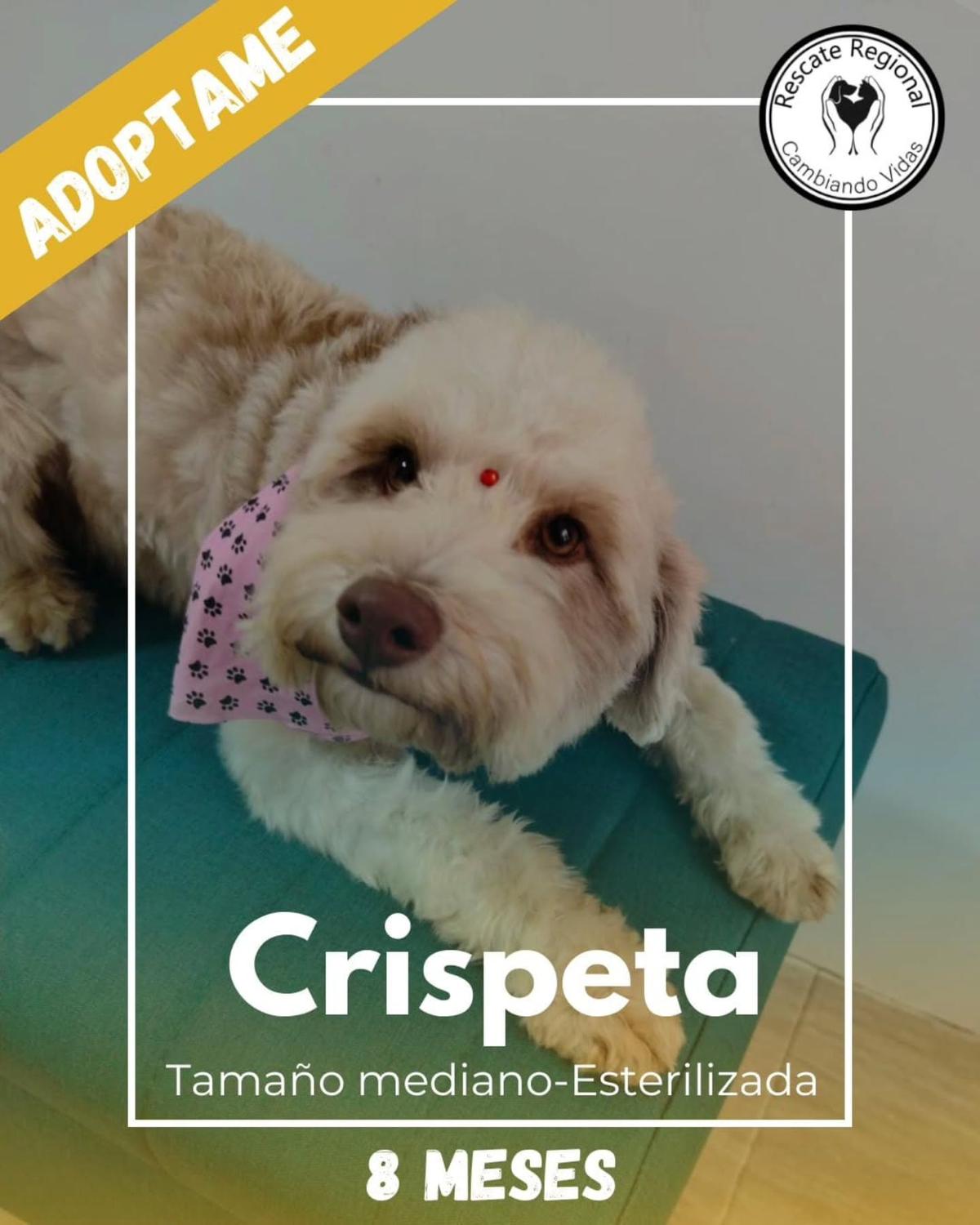 Crispeta (1/7)