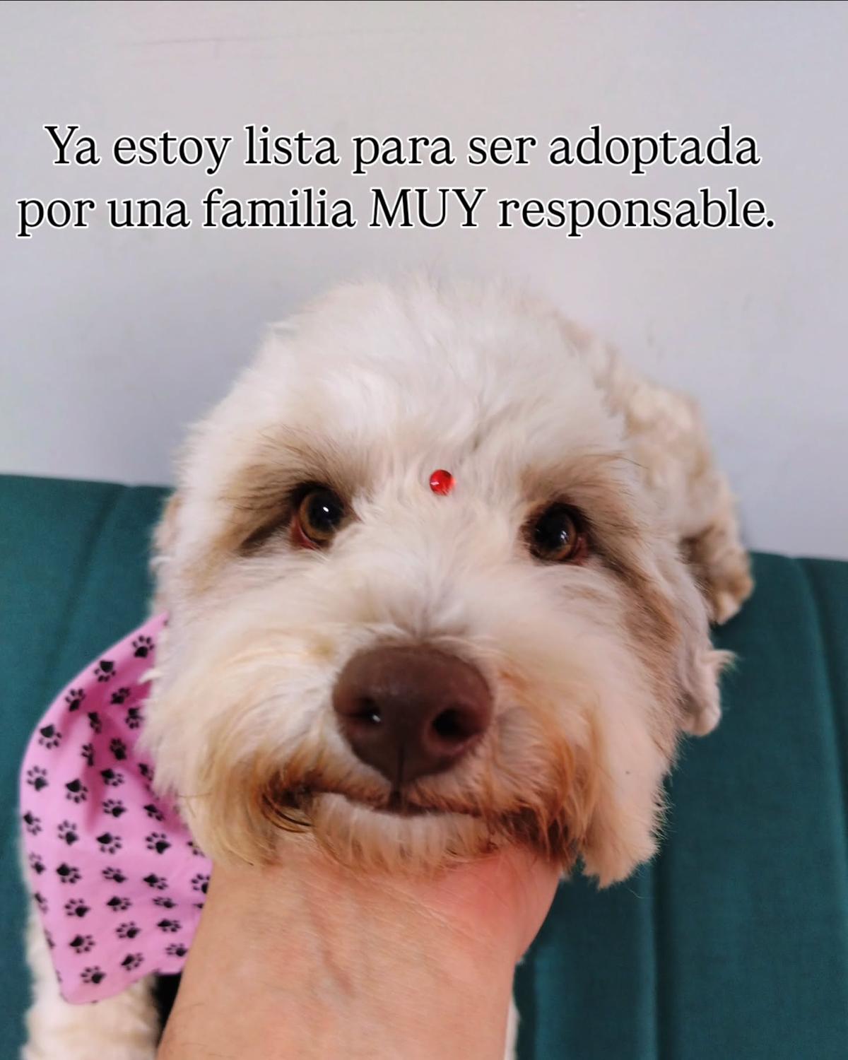 Crispeta (3/7)