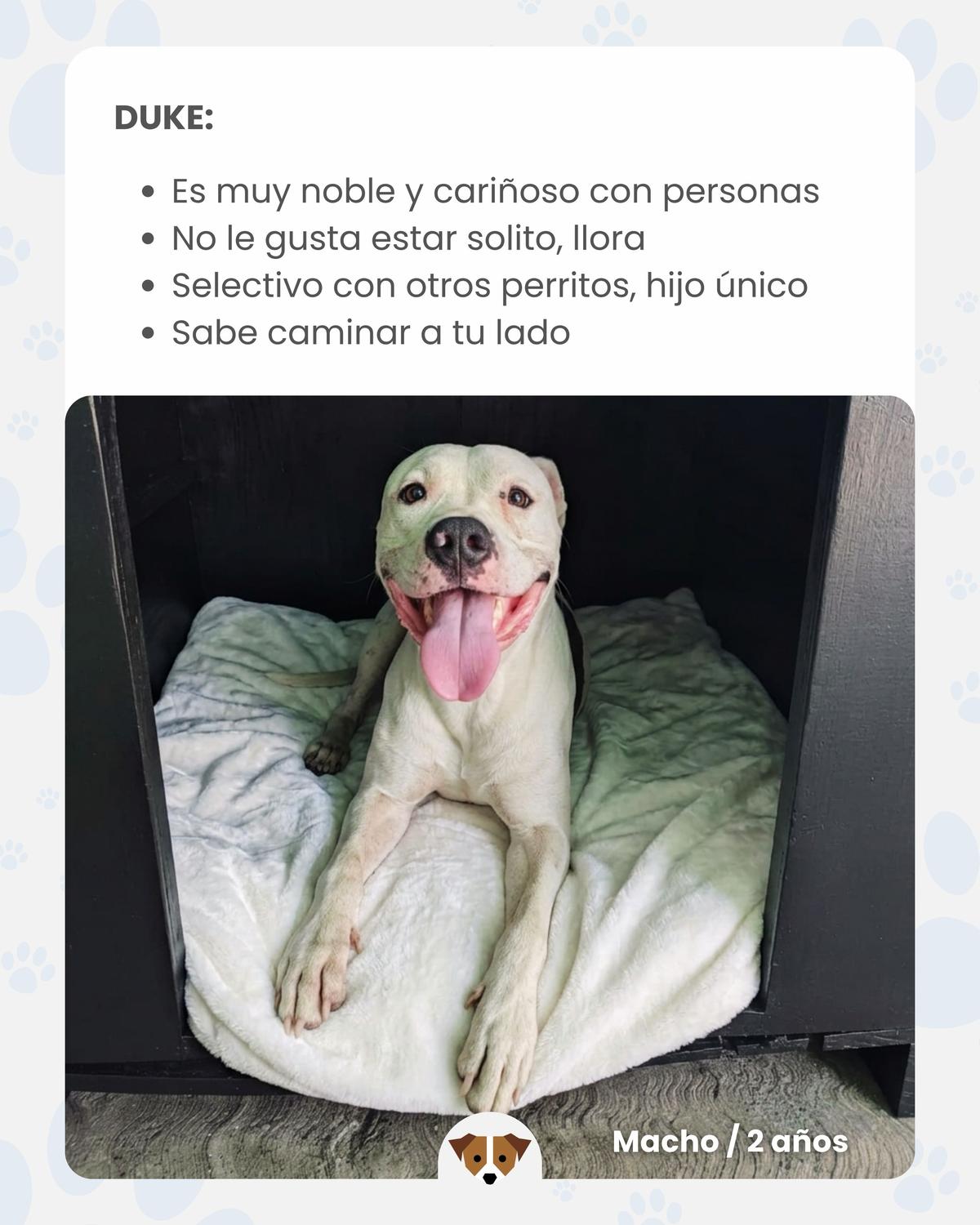 3 animalitos (3/8)