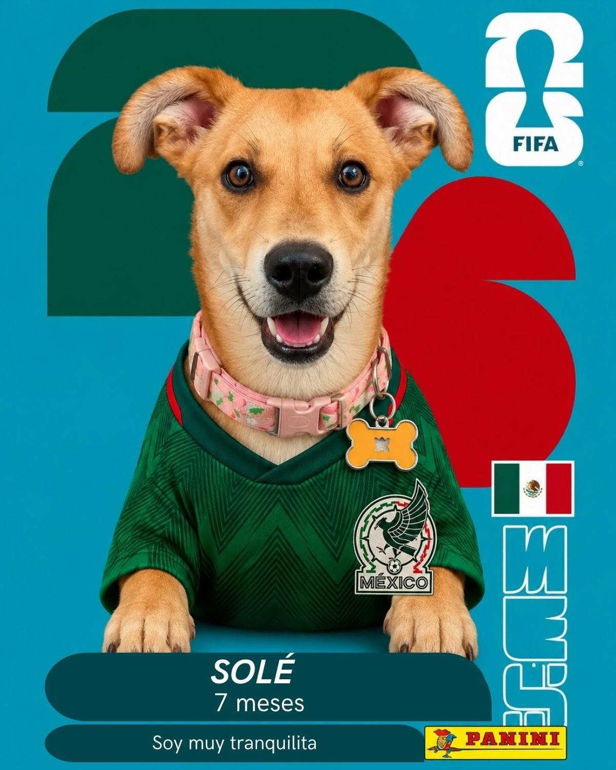 Andrés, Sole, Pepe +1 (3/10)
