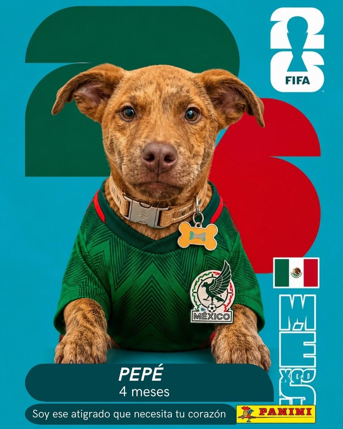 Andrés, Sole, Pepe +1 (4/10)