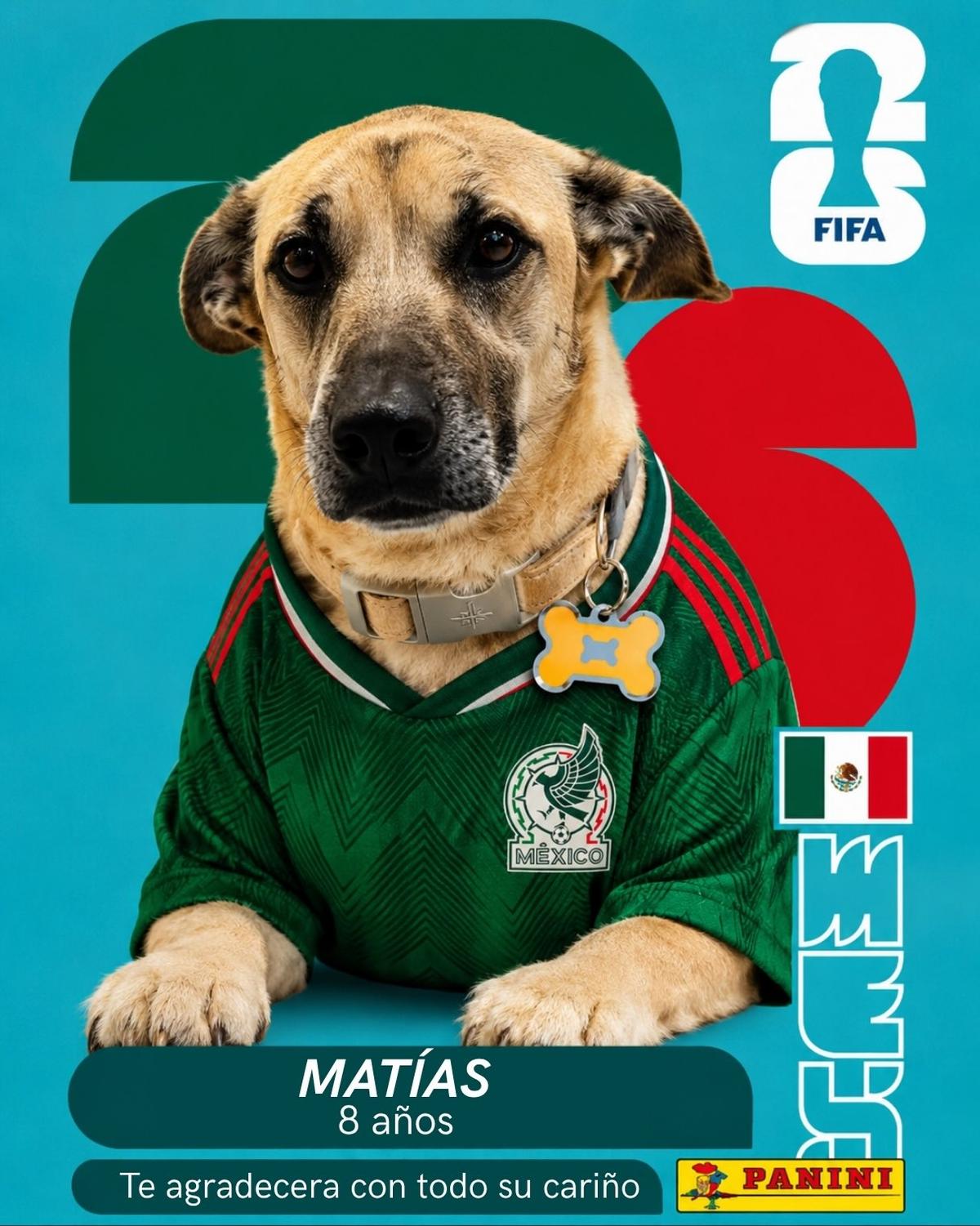 Andrés, Sole, Pepe +1 (10/10)