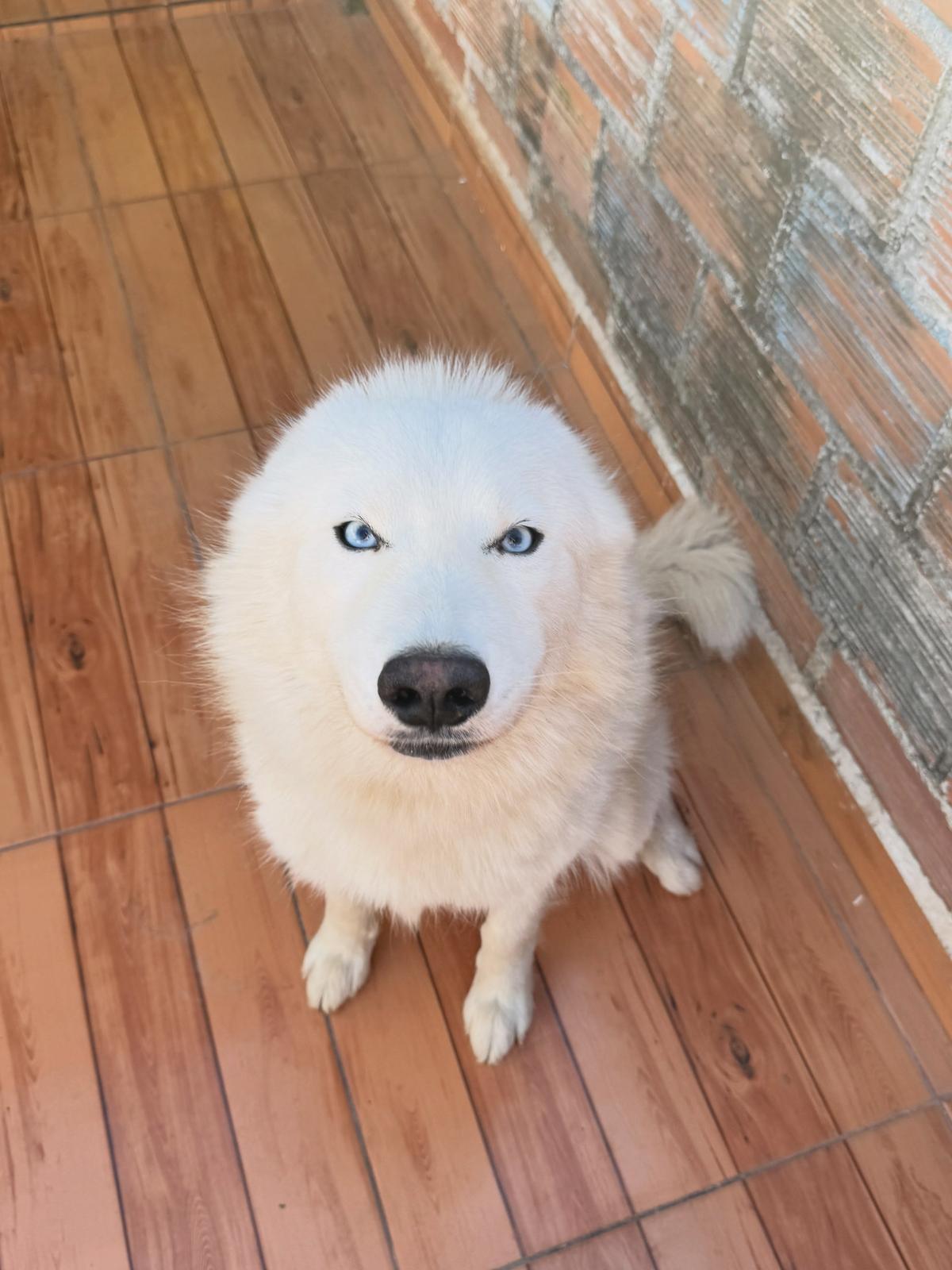 Lobito (5/6)
