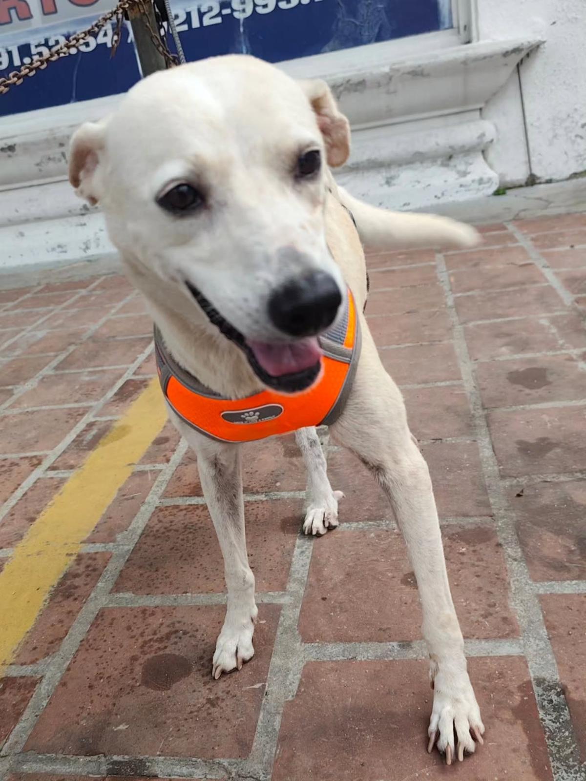 La Mochis (7/11)