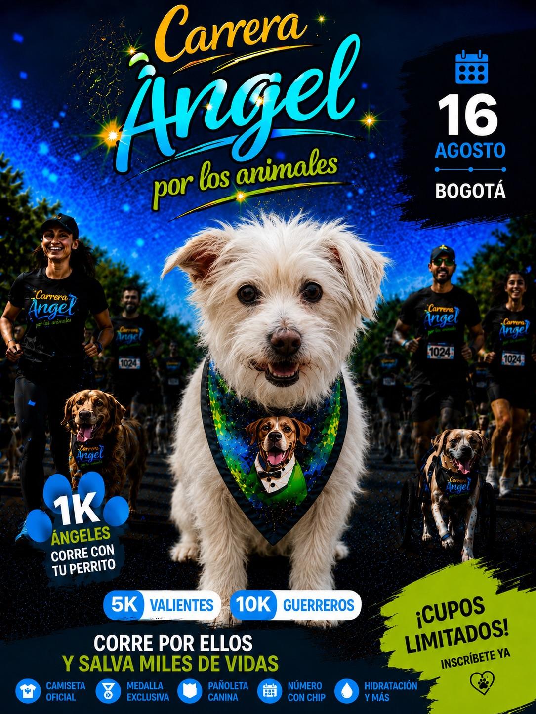 Morita, Ángel, Chontaduro (15/20)